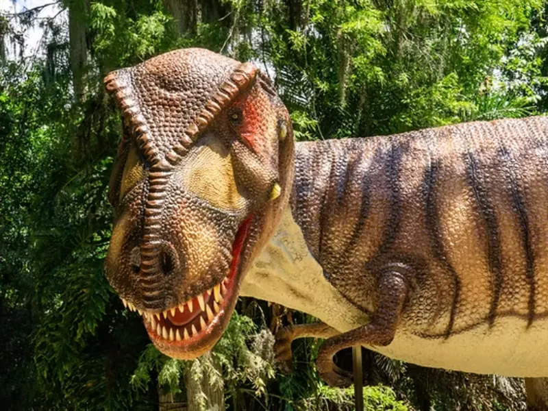 Dinosaur World near Glen Rose, Texas